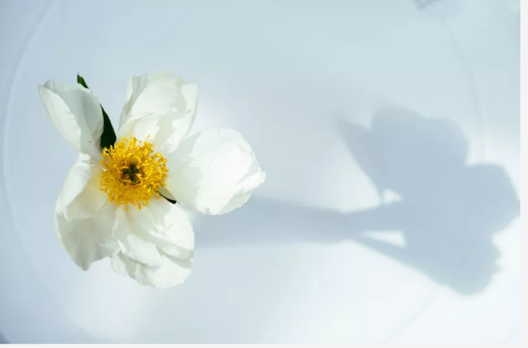 640 - 2024-04-16T104956.753.png